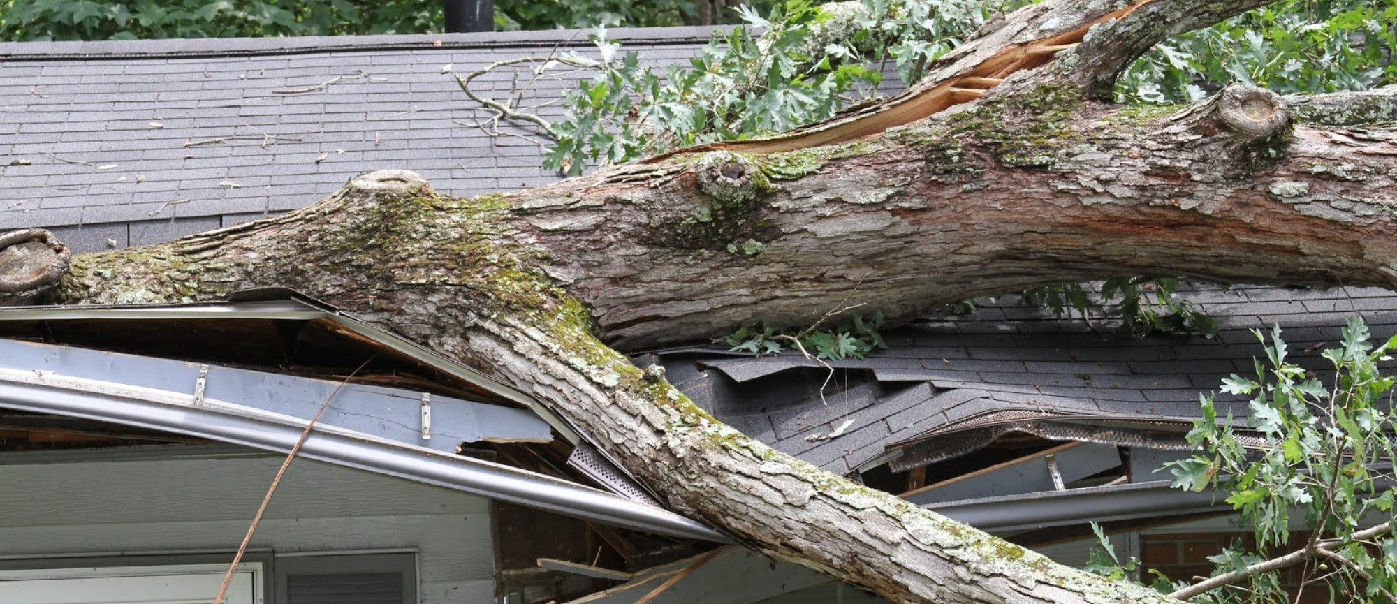 House Wind Damage