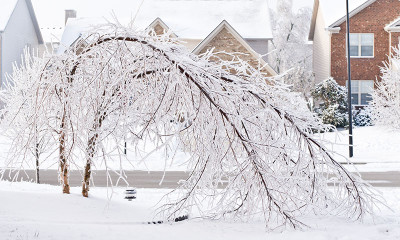 TX Ice Storm 175779434