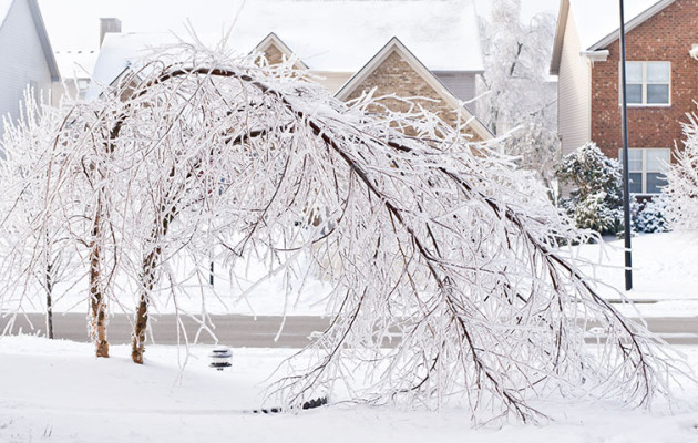 TX Ice Storm 175779434